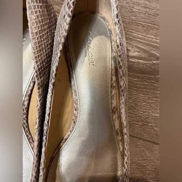 Coach Snakeskin Pumps - Picture 3 of 12